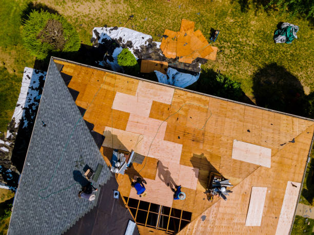 Best Metal Roofing Contractor  in Front Royal, VA
