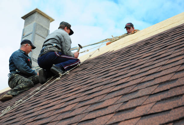 Quick and Trustworthy Emergency Roof Repair Services in Front Royal, VA